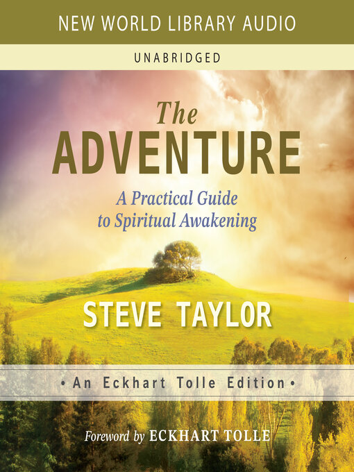 Title details for The Adventure by Steve Taylor - Wait list